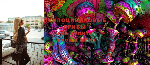 соль ск Гусь-Хрустальный