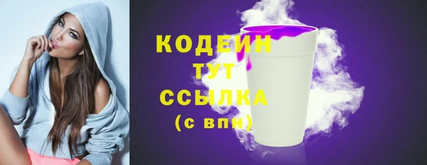соль ск Гусь-Хрустальный