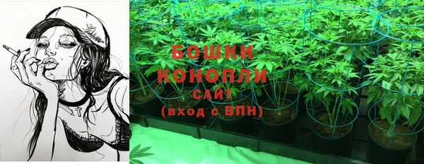 соль ск Гусь-Хрустальный