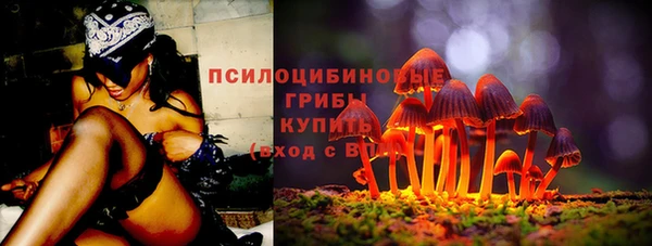 кристаллы Гусиноозёрск